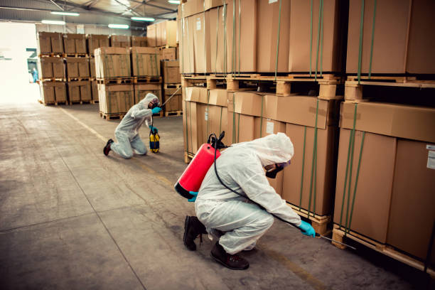 Best Insect Control  in Saint Johns University, MN