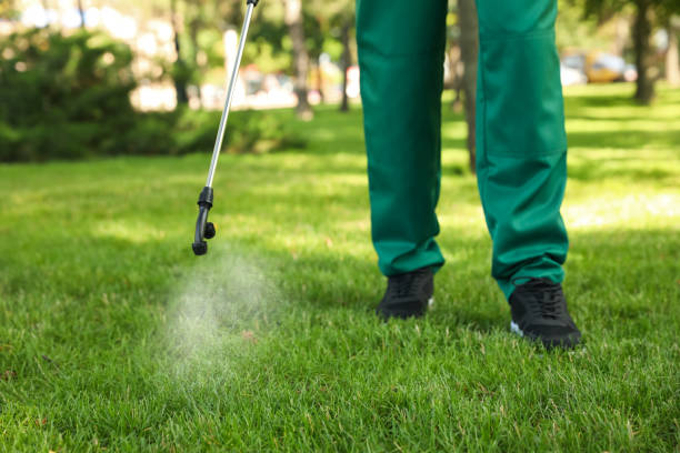 Best Affordable Pest Control Services  in Saint Johns University, MN