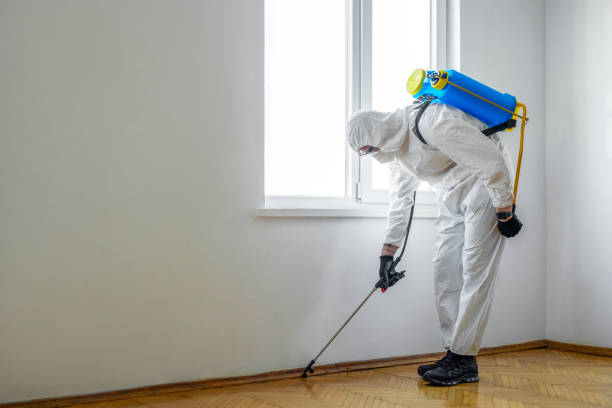 Best Exterminator Services  in Saint Johns University, MN