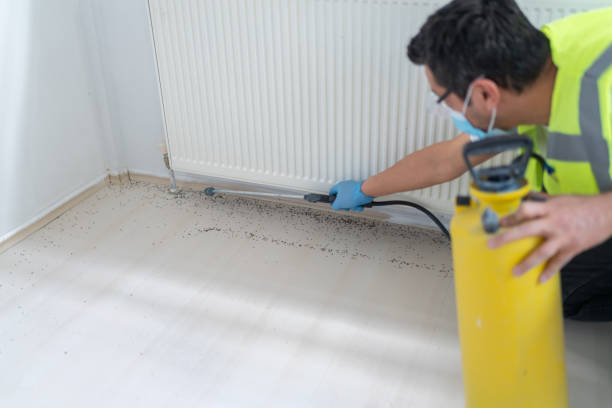 Best Best Pest Control Companies  in Saint Johns University, MN