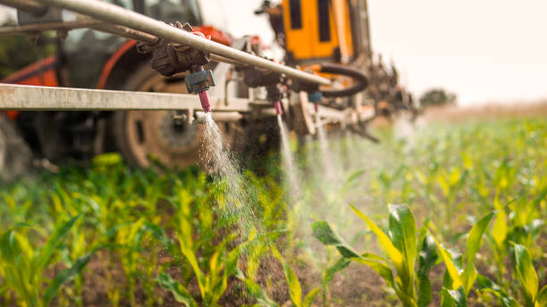 Best Pest Control Near Me in Saint Johns University, MN